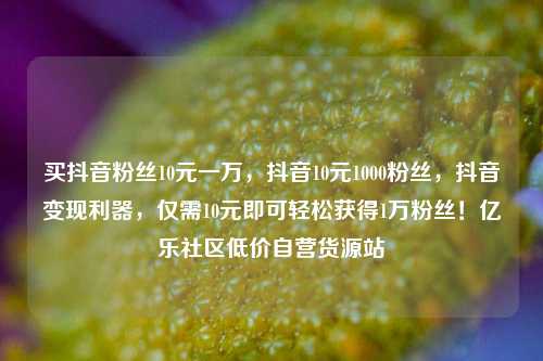 买抖音粉丝10元一万，抖音10元1000粉丝，抖音变现利器	，仅需10元即可轻松获得1万粉丝！亿乐社区低价自营货源站  第1张