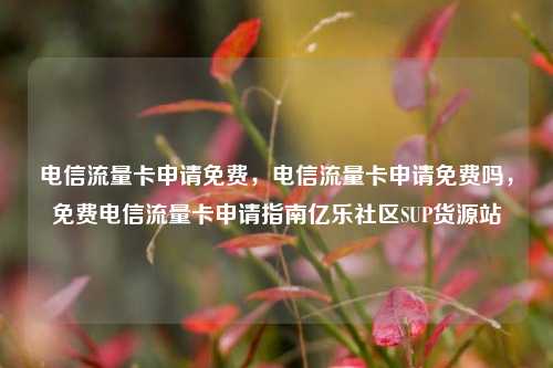 电信流量卡申请免费，电信流量卡申请免费吗，免费电信流量卡申请指南亿乐社区SUP货源站  第1张