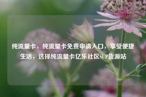 纯流量卡	，纯流量卡免费申请入口，享受便捷生活，选择纯流量卡亿乐社区SUP货源站  第1张