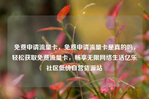 免费申请流量卡，免费申请流量卡是真的吗	，轻松获取免费流量卡，畅享无限网络生活亿乐社区低价自营货源站  第1张