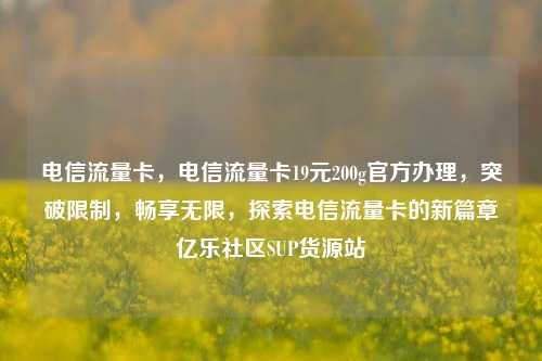 电信流量卡	，电信流量卡19元200g官方办理，突破限制，畅享无限，探索电信流量卡的新篇章亿乐社区SUP货源站  第1张