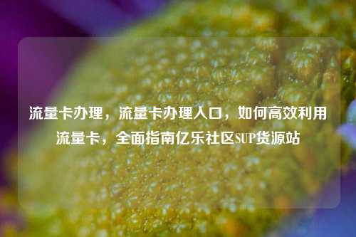 流量卡办理	，流量卡办理入口，如何高效利用流量卡，全面指南亿乐社区SUP货源站  第1张