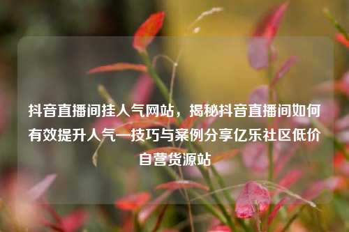 抖音直播间挂人气网站	，揭秘抖音直播间如何有效提升人气—技巧与案例分享亿乐社区低价自营货源站  第1张