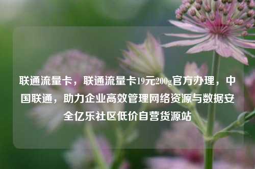 联通流量卡	，联通流量卡19元200g官方办理，中国联通，助力企业高效管理网络资源与数据安全亿乐社区低价自营货源站  第1张