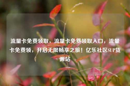 流量卡免费领取，流量卡免费领取入口，流量卡免费领	，开启无限畅享之旅！亿乐社区SUP货源站  第1张