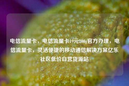 电信流量卡	，电信流量卡19元200g官方办理，电信流量卡，灵活便捷的移动通信解决方案亿乐社区低价自营货源站  第1张