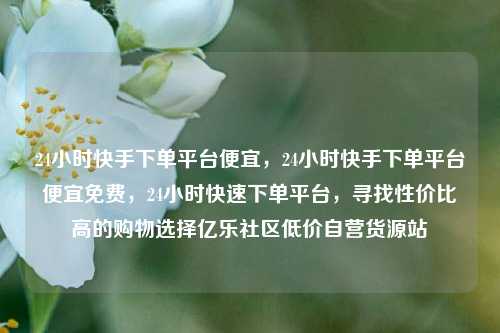 24小时快手下单平台便宜，24小时快手下单平台便宜免费，24小时快速下单平台，寻找性价比高的购物选择亿乐社区低价自营货源站  第1张