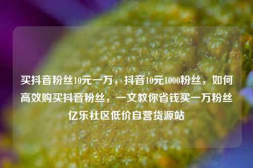 买抖音粉丝10元一万，抖音10元1000粉丝，如何高效购买抖音粉丝，一文教你省钱买一万粉丝亿乐社区低价自营货源站  第1张