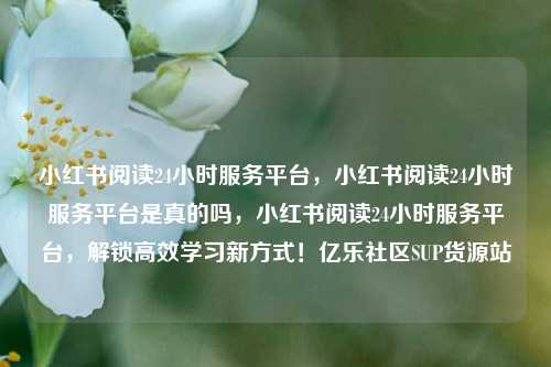 小红书阅读24小时服务平台，小红书阅读24小时服务平台是真的吗，小红书阅读24小时服务平台，解锁高效学习新方式！亿乐社区SUP货源站  第1张