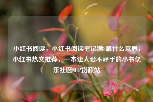 小红书阅读，小红书阅读笔记满8篇什么意思	，小红书热文推荐，一本让人爱不释手的小书亿乐社区SUP货源站  第1张