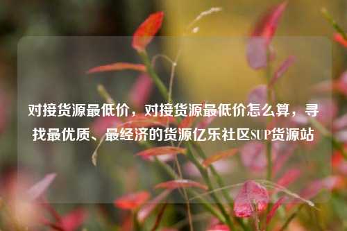 对接货源最低价，对接货源最低价怎么算，寻找最优质、最经济的货源亿乐社区SUP货源站  第1张