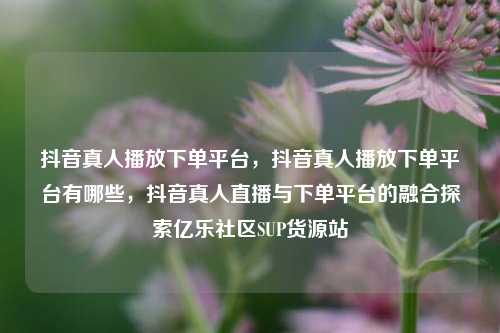 抖音真人播放下单平台，抖音真人播放下单平台有哪些，抖音真人直播与下单平台的融合探索亿乐社区SUP货源站  第1张