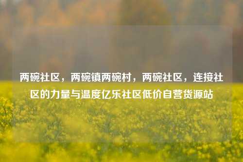 两碗社区	，两碗镇两碗村，两碗社区，连接社区的力量与温度亿乐社区低价自营货源站  第1张