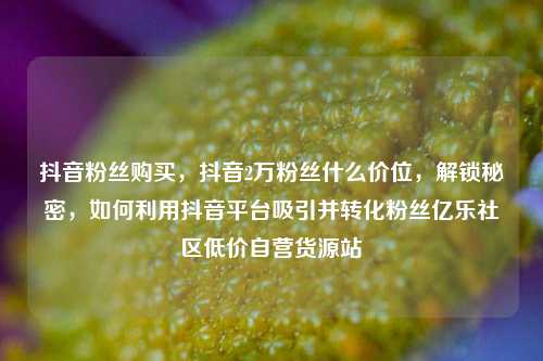 抖音粉丝购买，抖音2万粉丝什么价位	，解锁秘密，如何利用抖音平台吸引并转化粉丝亿乐社区低价自营货源站  第1张