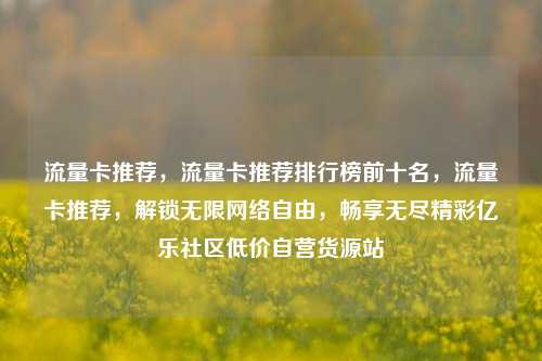 流量卡推荐，流量卡推荐排行榜前十名，流量卡推荐	，解锁无限网络自由，畅享无尽精彩亿乐社区低价自营货源站  第1张