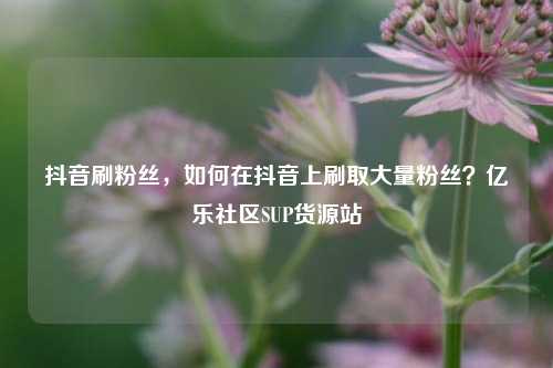 抖音刷粉丝，如何在抖音上刷取大量粉丝？亿乐社区SUP货源站  第1张