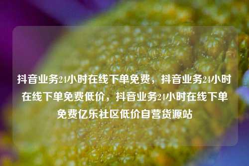 抖音业务24小时在线下单免费，抖音业务24小时在线下单免费低价，抖音业务24小时在线下单免费亿乐社区低价自营货源站  第1张