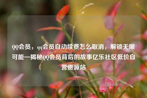 QQ会员，qq会员自动续费怎么取消，解锁无限可能—揭秘QQ会员背后的故事亿乐社区低价自营货源站  第1张