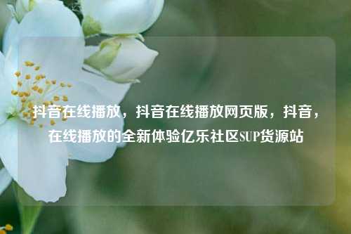 抖音在线播放，抖音在线播放网页版	，抖音，在线播放的全新体验亿乐社区SUP货源站  第1张