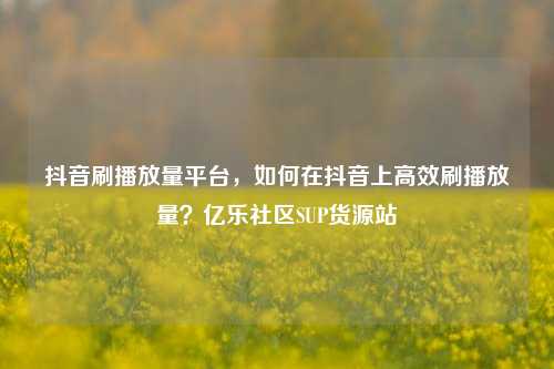 抖音刷播放量平台	，如何在抖音上高效刷播放量？亿乐社区SUP货源站  第1张