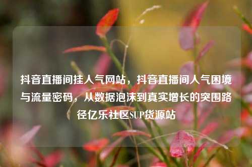 抖音直播间挂人气网站	，抖音直播间人气困境与流量密码，从数据泡沫到真实增长的突围路径亿乐社区SUP货源站  第1张